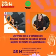 Entrevista con la Dra Mabel Haro, directora del centro de justicia para las mujeres del Estado De Aguascalientes