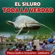 Salduero, El Siluro toda la verdad: datos reales sin política , Las Reinas del Río pesca lúdica inclusiva desde Argentina.