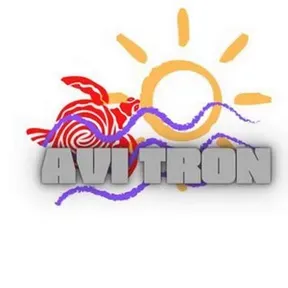 AviTron mp3 FM