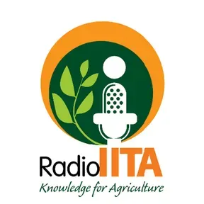 Radio IITA