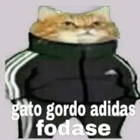 olavooooooo