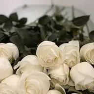 Кира Логинова. В чем счастье