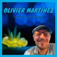 De Bali au WUMA : l'art de la photo macro selon Olivier Martinez