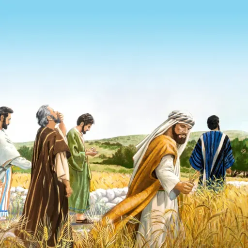 VIERNES XV ORDINARIO CICLO A: Mateo 12, 1-8: La misericordia está por encima del cumplimiento de la ley