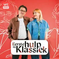 90. Max Bruch - Schotse Fantasie