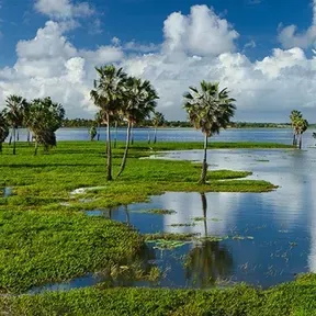 radiolagoa