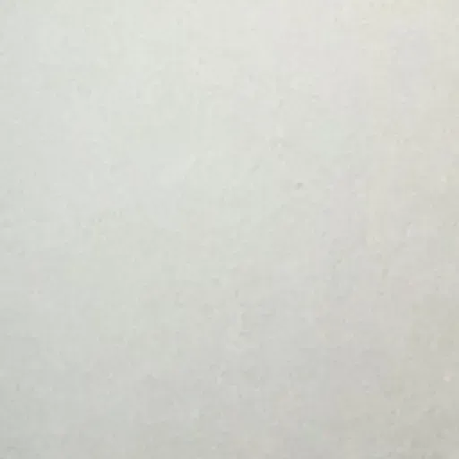 Podcast about the Pandemic