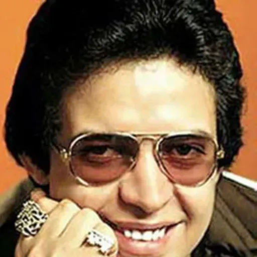 EL CANTANTE (my cover)