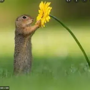aaaaaaaaaaaaaa