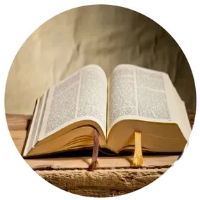 BIBLIA NARRADA