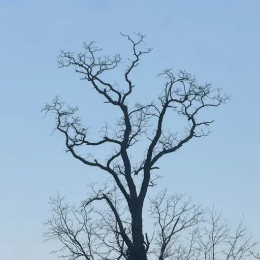 Bk. 1, Pt. 3, Ch. 17: Decimation of Uvaróv's Calvary