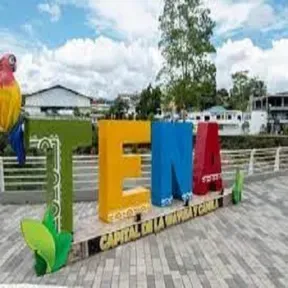 TENAAMAZONICO