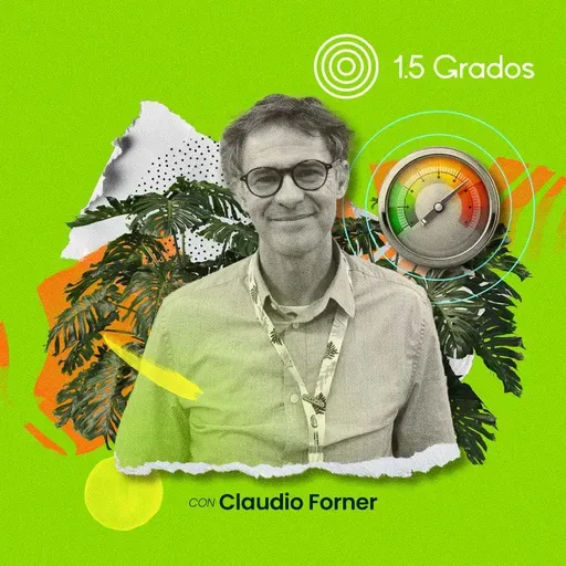 NDC, entre la ambición y la realidad