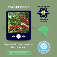 Segredos do café para uma boa produção
