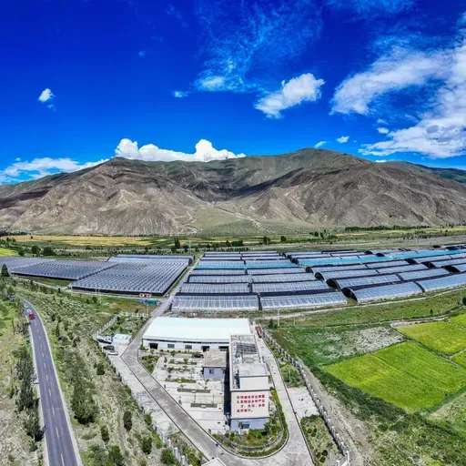 Xizang makes progress in infrastructure, ecology after 75 years of peaceful development