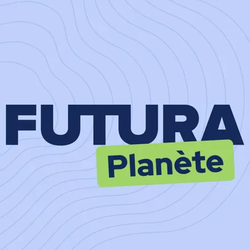 Le jour où la montagne est tombée dans la mer