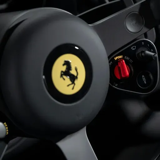 The Ferrari of electric vehicles