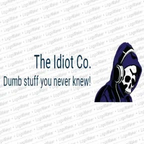 Idiot Radio
