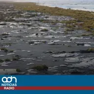 Derrame de hidrocarburo en Veracruz golpea a restauranteros