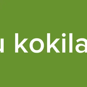 telugu kokila radio