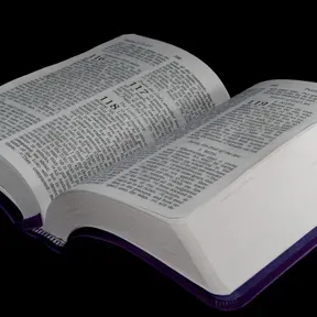 Origen y Esencia
