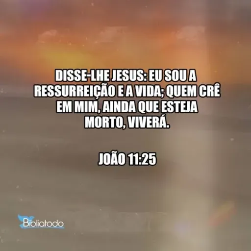 João 11:25