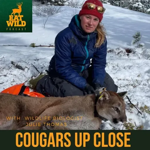 EatWild 100 - Cougars Up Close - Researching cougar behaviour with wildlife biologist Julie Thomas