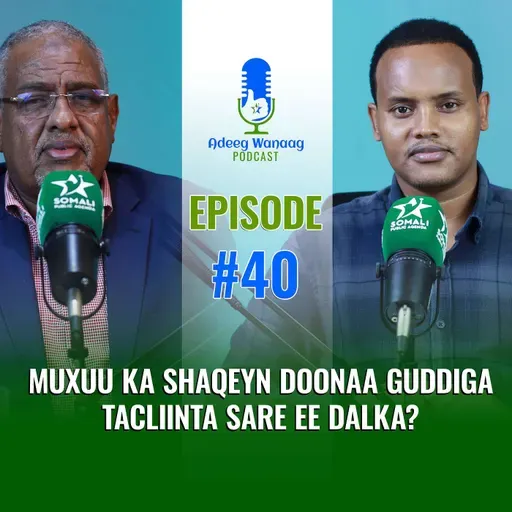 Muxuu ka Shaqeyn Doonaa Guddiga Tacliinta Sare ee Dalka?