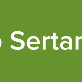 Top Sertanejo