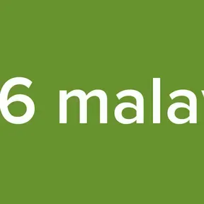 986 malayal