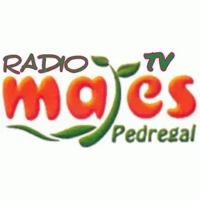 RADIO  PEDREGAL