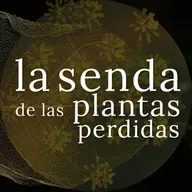 De amuletos, cerrojos y serpientes miopes: Foeniculum vulgare {SPP 080}