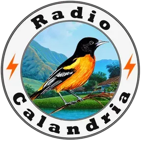 Radio Calandria