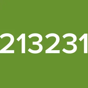 213231