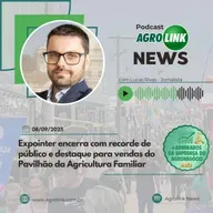 Exportações de carne de frango cresceram 4% em agosto