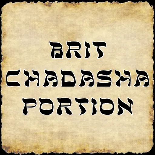 Brit Chadasha Portion for 11/29/2025