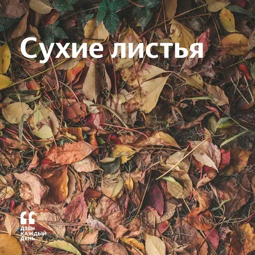 Сухие листья