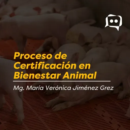 Proceso de Certificación en Bienestar Animal