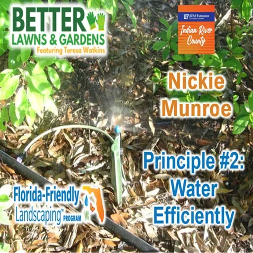 S2 Ep442: Better Lawns and Gardens - Hour 1 FFL Nicki Munroe April 11, 2026
