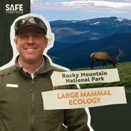 Rocky Mountain National Park: Large Mammal Ecology with Park Ranger Will Deacy