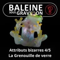S07E95 Vous avez dit bizarre ? Attributs 4/5 : La Grenouille de verre... en toute transparence