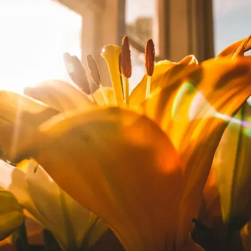 A VIDA PODE FICAR BEM MELHOR