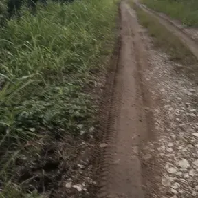 RPSATURADA