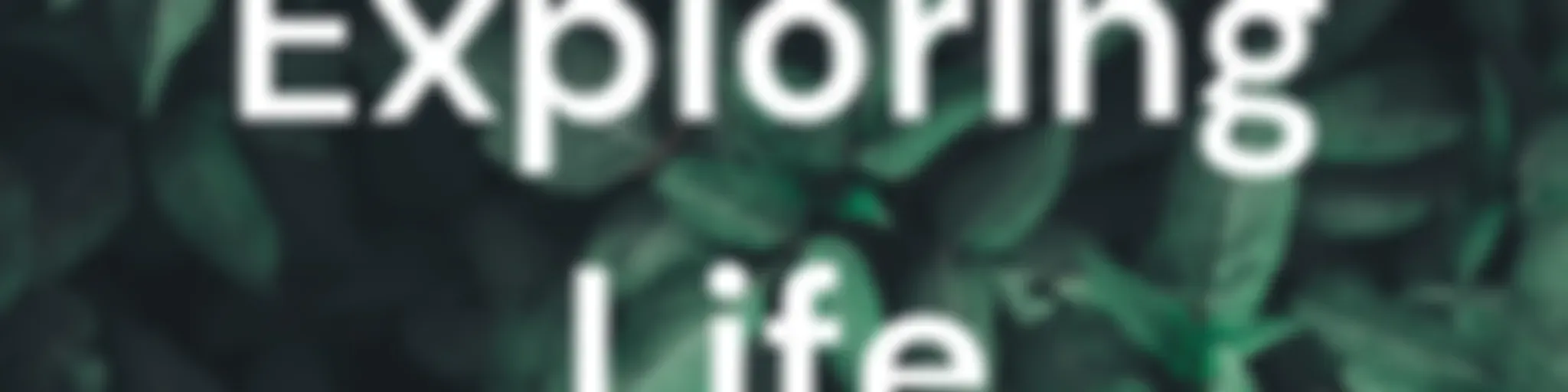 Sibusiso Nene's Show