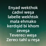 Komcın Enyad Hewla Zazaca Sohbet