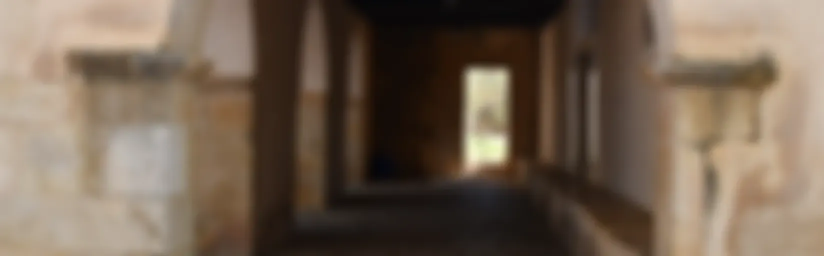 Tren de llarg recorregut