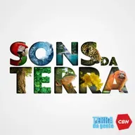Trinca-ferro: um dos cantos mais apreciados do Brasil
