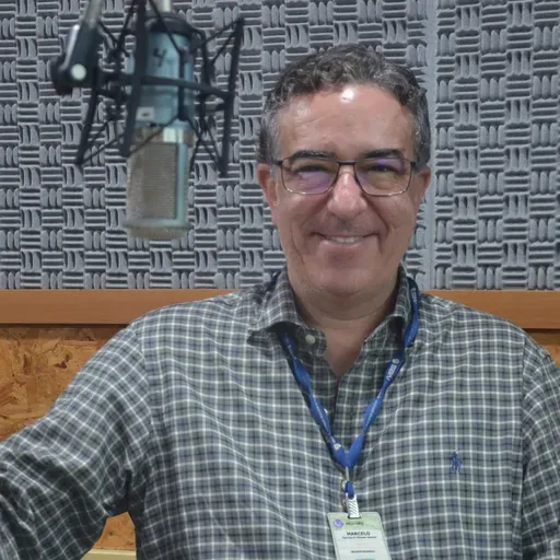 Brincadeira, desafio ou comportamento agressivo?