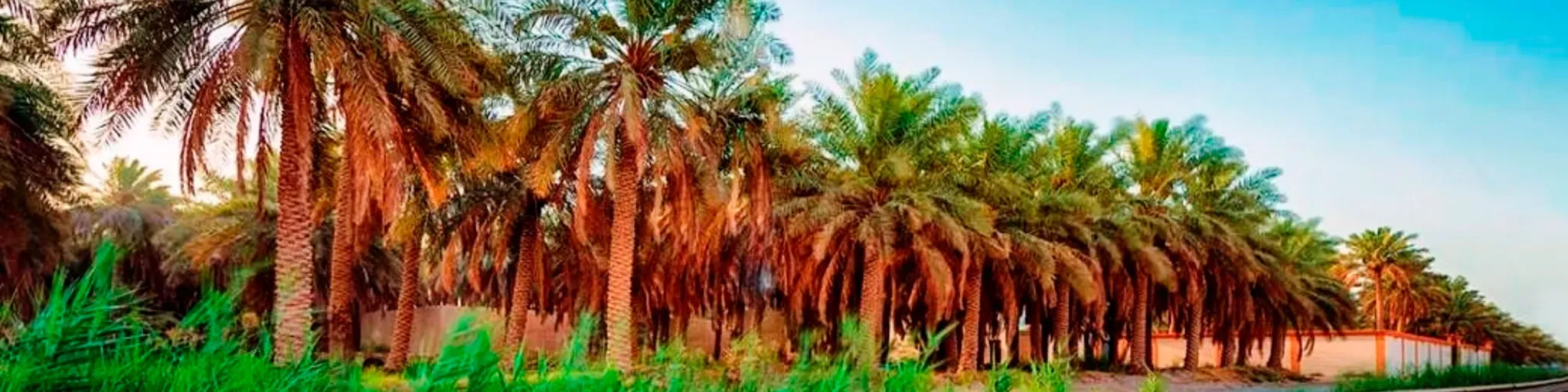 نادي التوعية - جالو