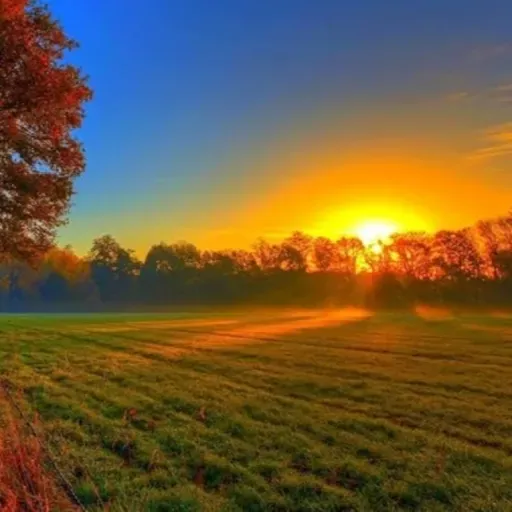 SN 318: La unidad de las virtudes: La Belleza del Alma 2ª parte